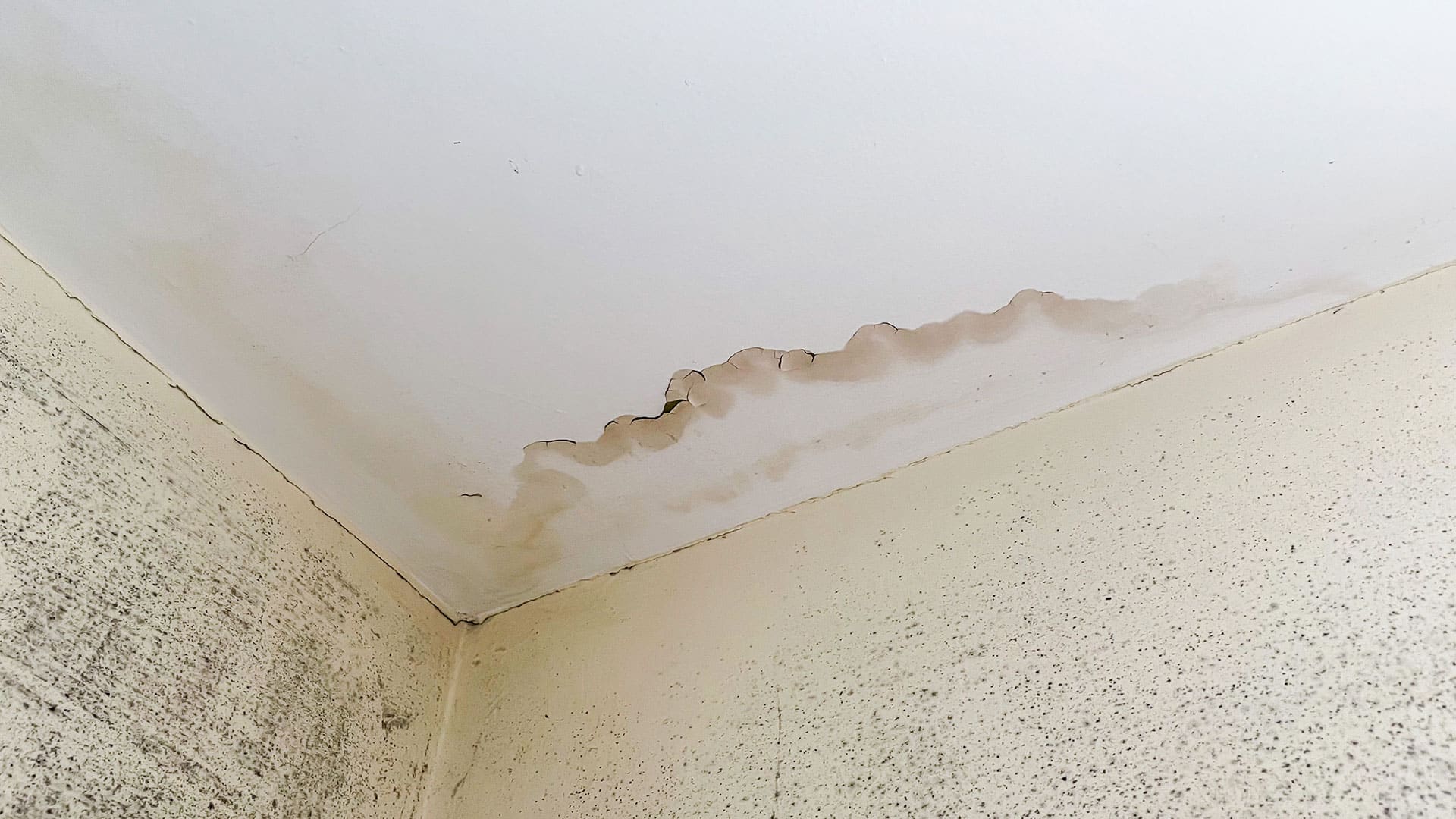 water-damage-ceiling