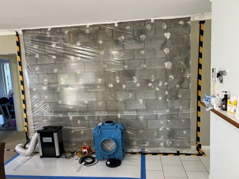 Photo 1-8-2024 12.43.58 PM