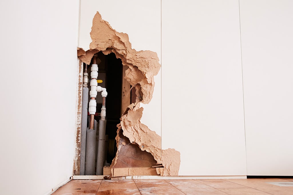 how-to-spot-early-signs-of-water-damage-01