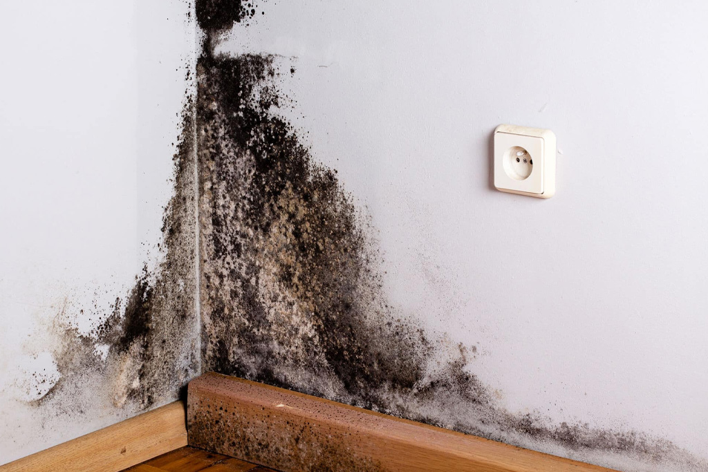 health-risks-of-untreated-water-damage-queensland-h2-03