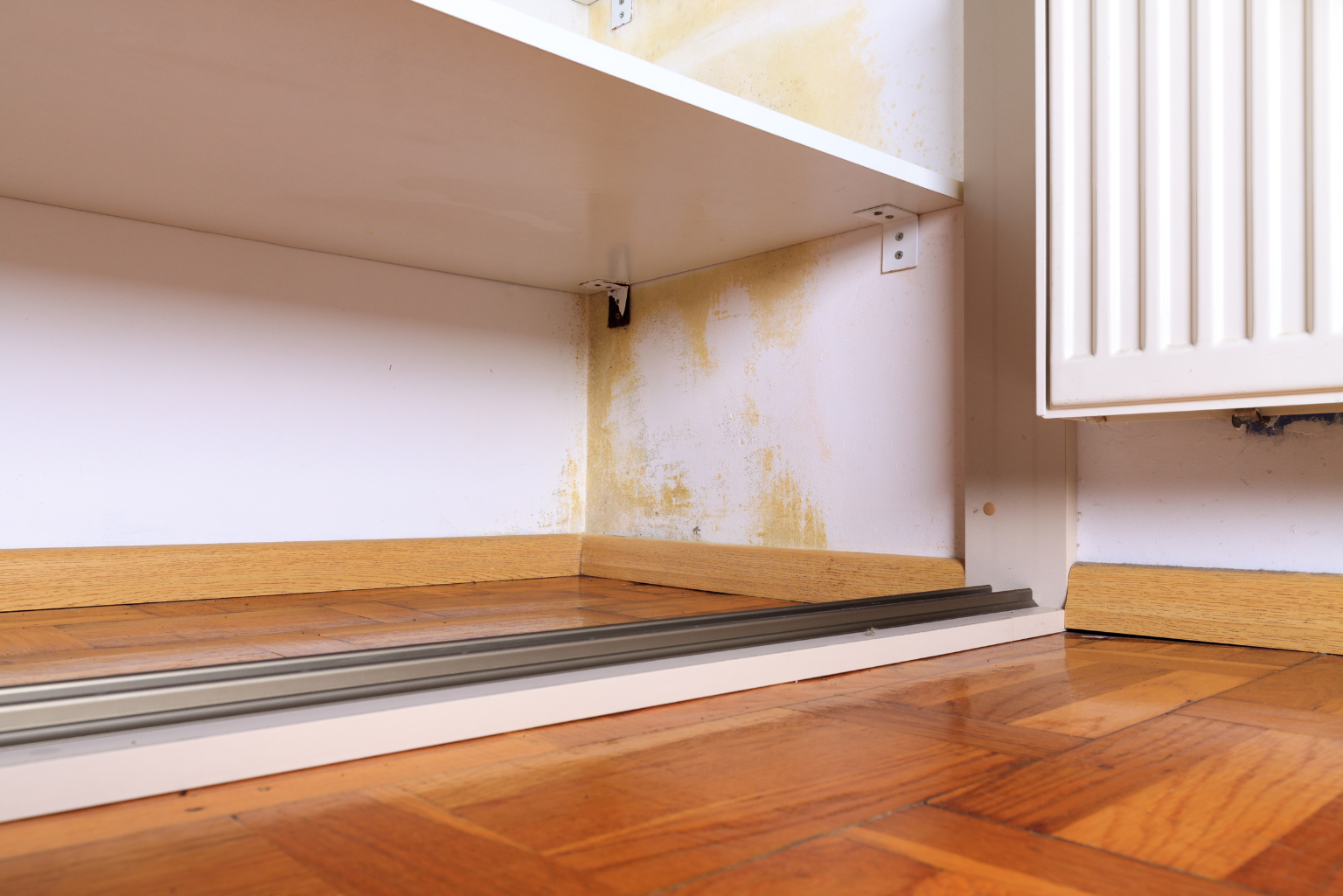 The Telltale Signs of Hidden Water Damage