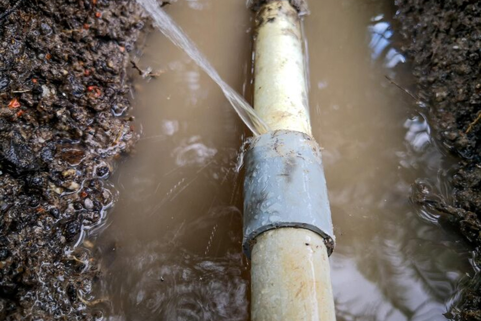 Why Expert Structural Restoration is Non-Negotiable for Your Queensland Property After Water Damage