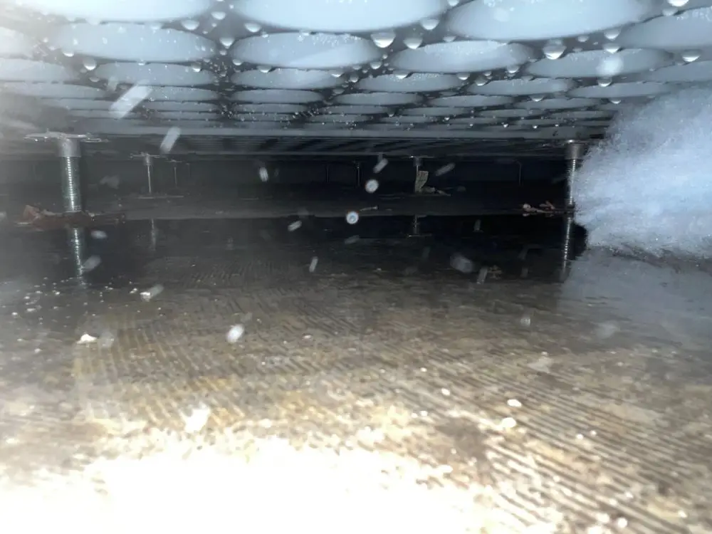 Standing water beneath a raised office floor