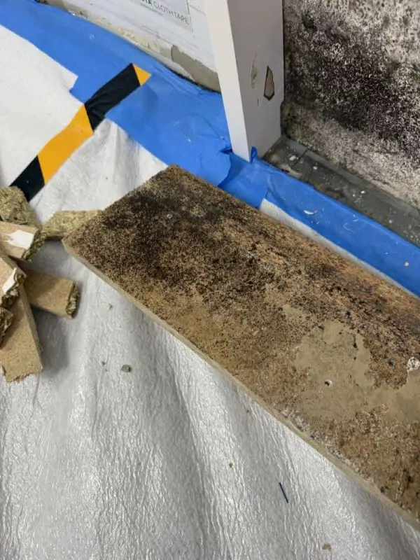 Removed section of skirting heavily contaminated with mould