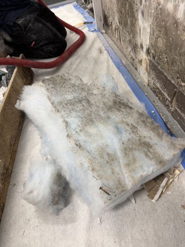 Mould-contaminated insulation batt removed from the wall cavity