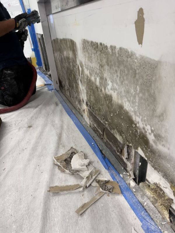 Controlled strip-out of contaminated plasterboard in progress